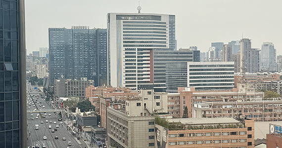 网站域名查询注册