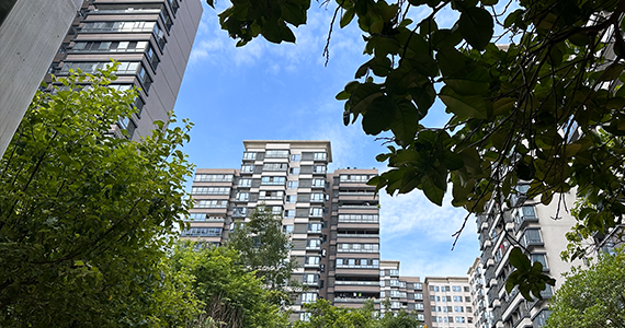 网站注册域名查询