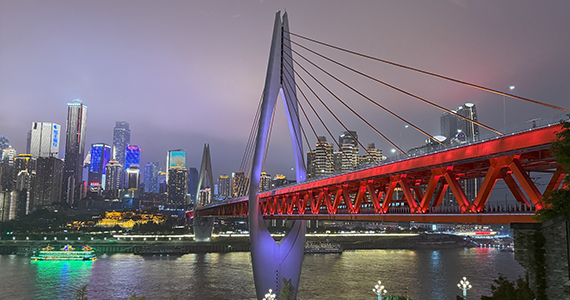 网站域名历史查询详情