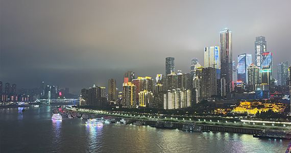 反域名查询网站