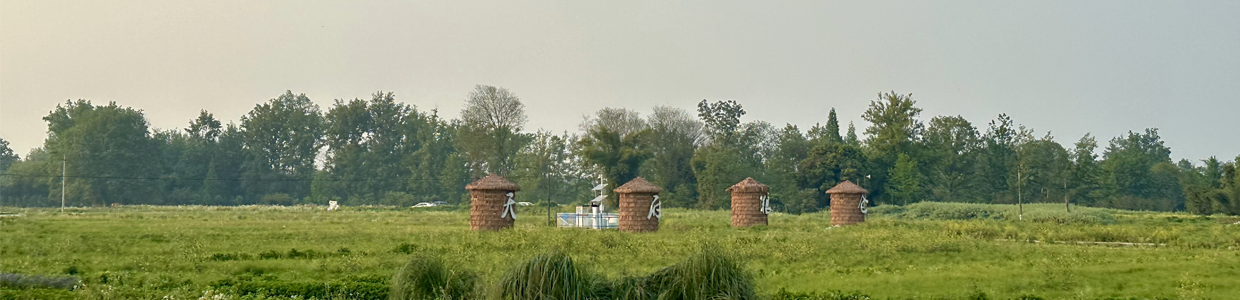 网站域名查询网